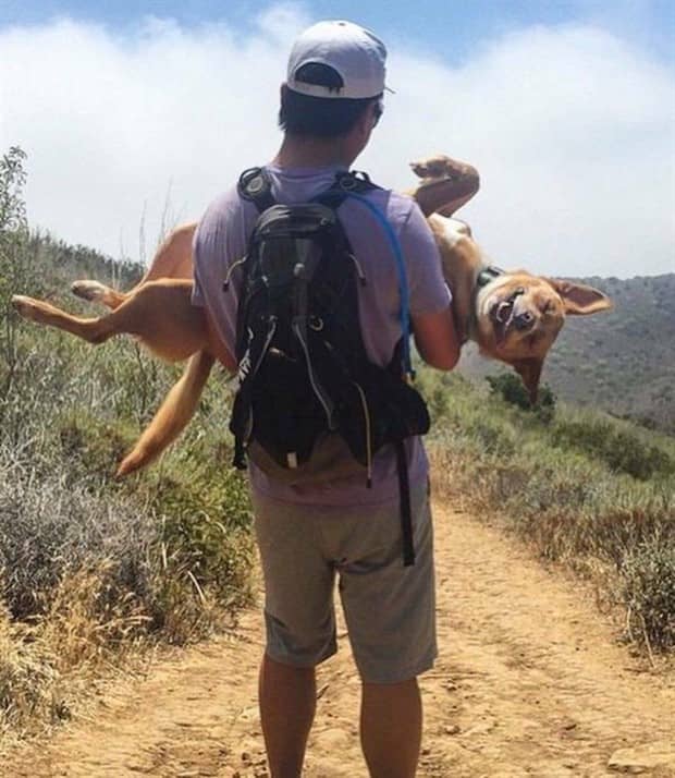 funny animals 16 1 Get Ready for Funny Animals #416 (23 photos)