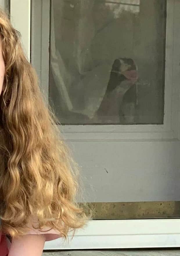 Sneaky Animals Owning Every Snapshot (22 photos)