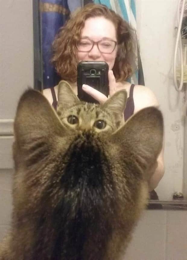 Sneaky Animals Owning Every Snapshot (22 photos)