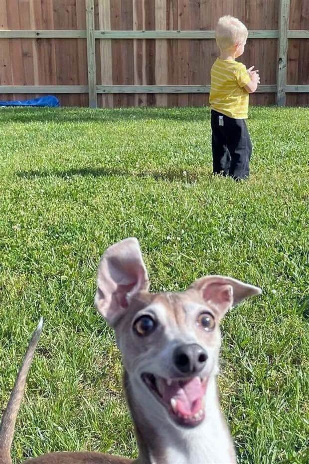 Sneaky Animals Owning Every Snapshot (22 photos)