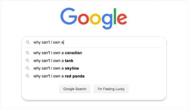funny google search suggestions 3 Google Search Suggestions That Went Off Rails (19 photos)