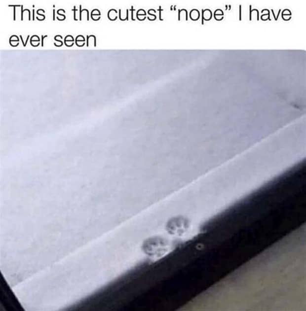 funny memes and pics 11 1 Funny Pics and Memes to Make You Laugh #185 (22 photos)