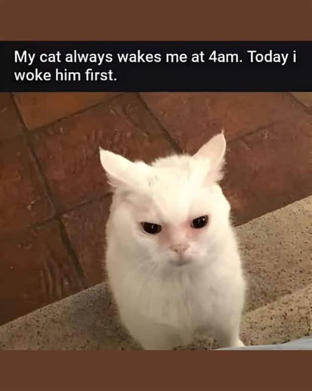 funny memes and pics 2 Funny Pics and Memes to Make You Laugh #184 (21 photos)