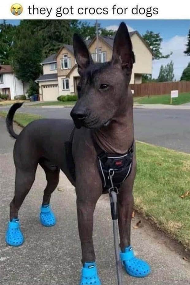 funny memes and pics 21 Funny Pics and Memes to Make You Laugh #184 (21 photos)