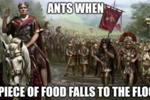 Funny Pics and Memes to Make You Laugh #184 (21 photos)