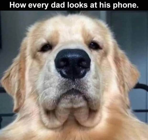 funny memes and pics 5 Funny Pics and Memes to Make You Laugh #184 (21 photos)