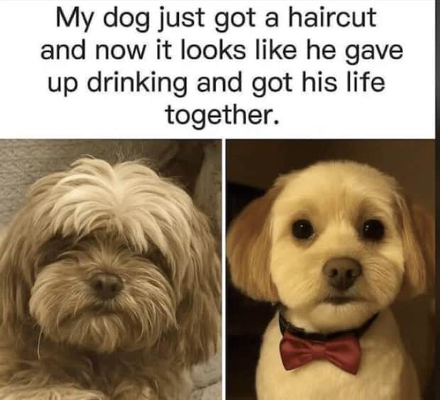 funny memes and pics 6 Funny Pics and Memes to Make You Laugh #184 (21 photos)