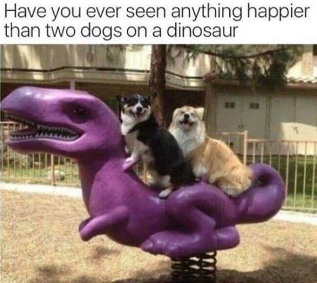 funny memes and pics 7 Funny Pics and Memes to Make You Laugh #184 (21 photos)