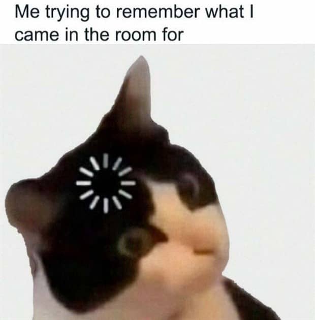 funny memes and pics 9 1 Funny Pics and Memes to Make You Laugh #185 (22 photos)