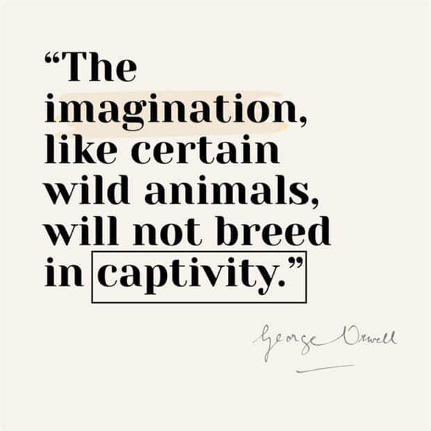 george orwell quotes 8 15 Prophetic Quotes From George Orwell (15 photos)