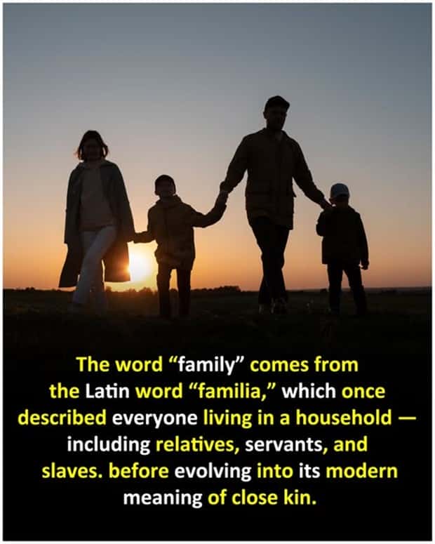 Cool and Interesting Facts #462 (22 photos)