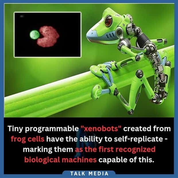 Cool and Interesting Facts #462 (22 photos)