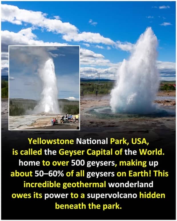 interesting facts 14 Cool and Interesting Facts #459 (24 photos)