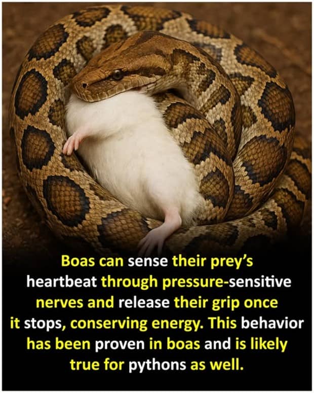 interesting facts 15 Cool and Interesting Facts #459 (24 photos)