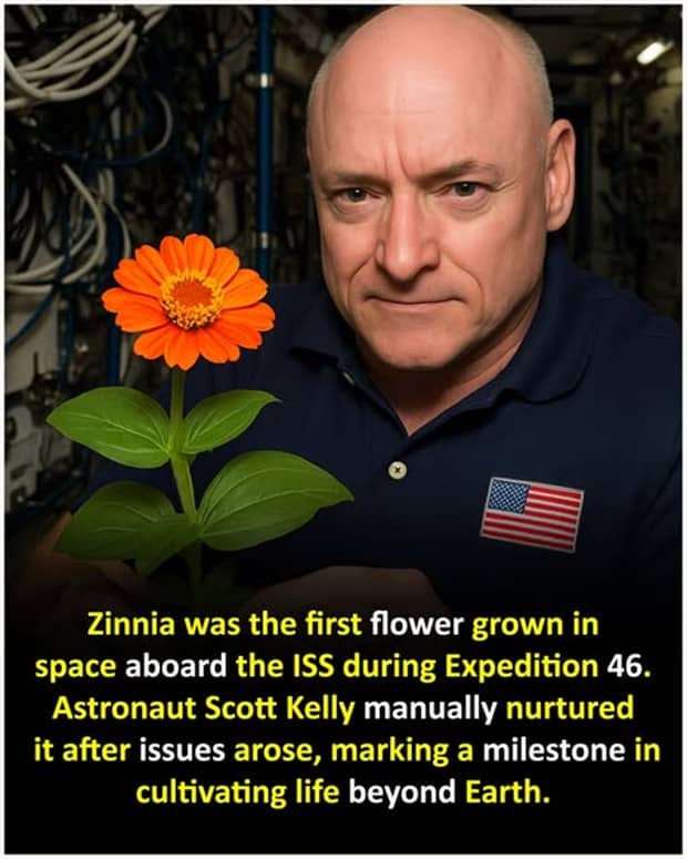 interesting facts 16 Cool and Interesting Facts #459 (24 photos)