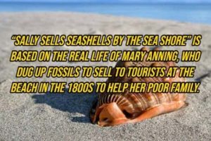 Cool and Interesting Facts #462 (22 photos)