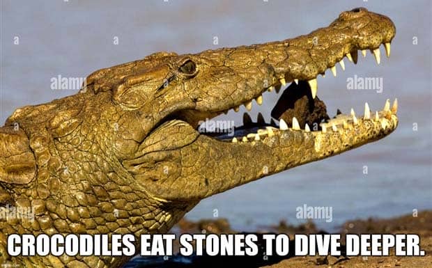 interesting facts 23 Cool and Interesting Facts #459 (24 photos)