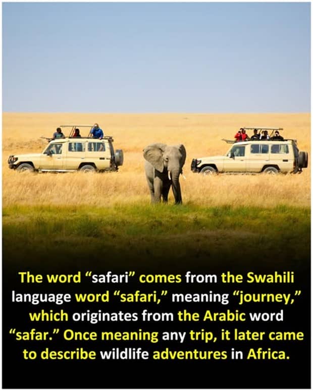 interesting facts 7 Cool and Interesting Facts #459 (24 photos)