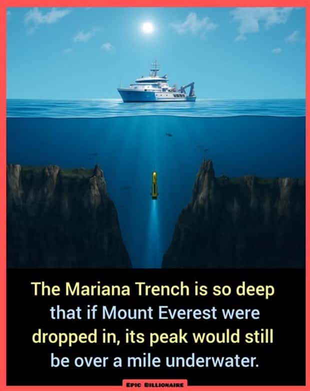 Cool and Interesting Facts #462 (22 photos)