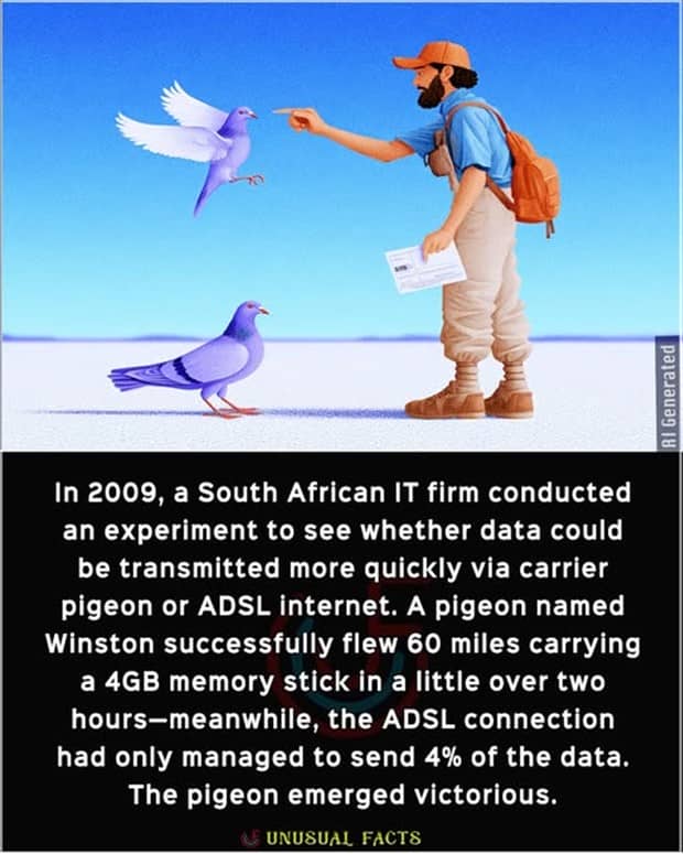 interesting facts 9 Cool and Interesting Facts #459 (24 photos)