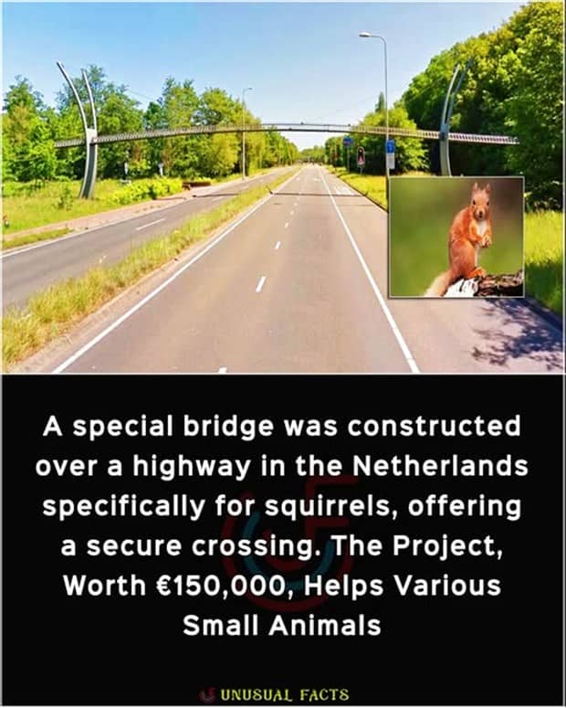 interesting facts and trivia 12 Cool and Interesting Facts #461 (21 photos)