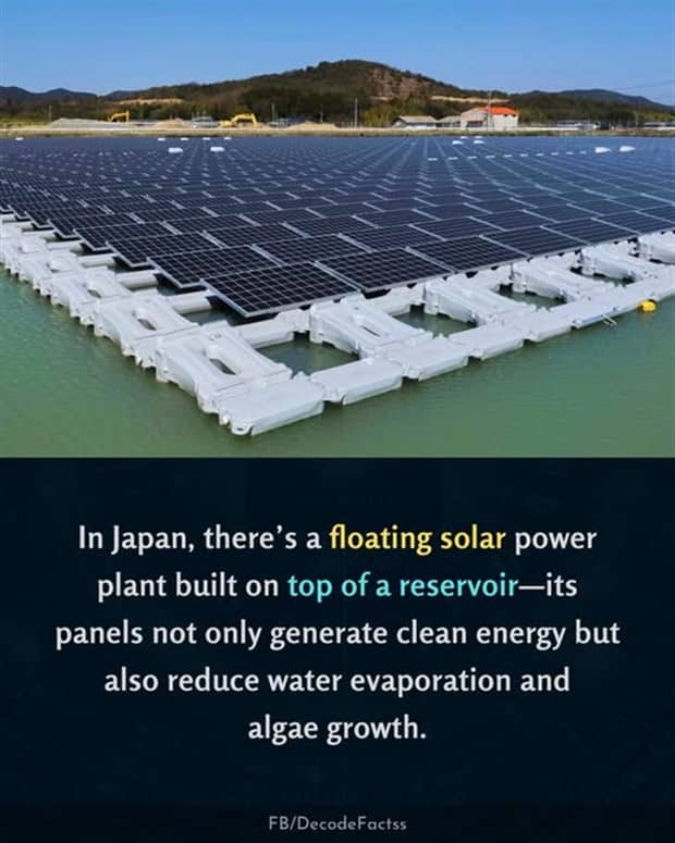 interesting facts and trivia 14 Cool and Interesting Facts #461 (21 photos)