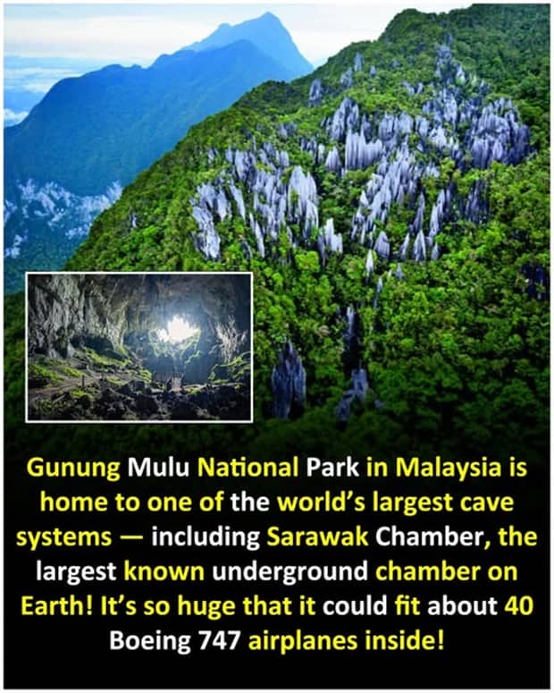 interesting facts and trivia 15 Cool and Interesting Facts #461 (21 photos)