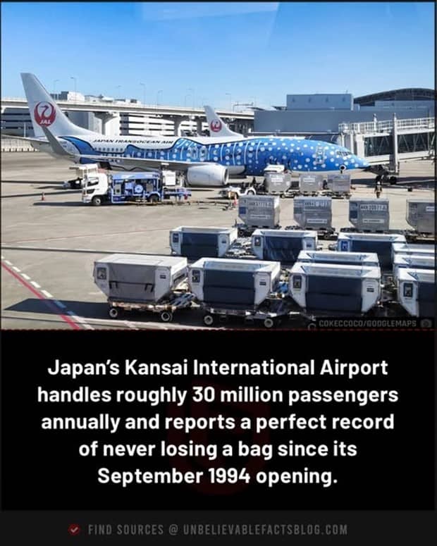 interesting facts and trivia 18 Cool and Interesting Facts #461 (21 photos)