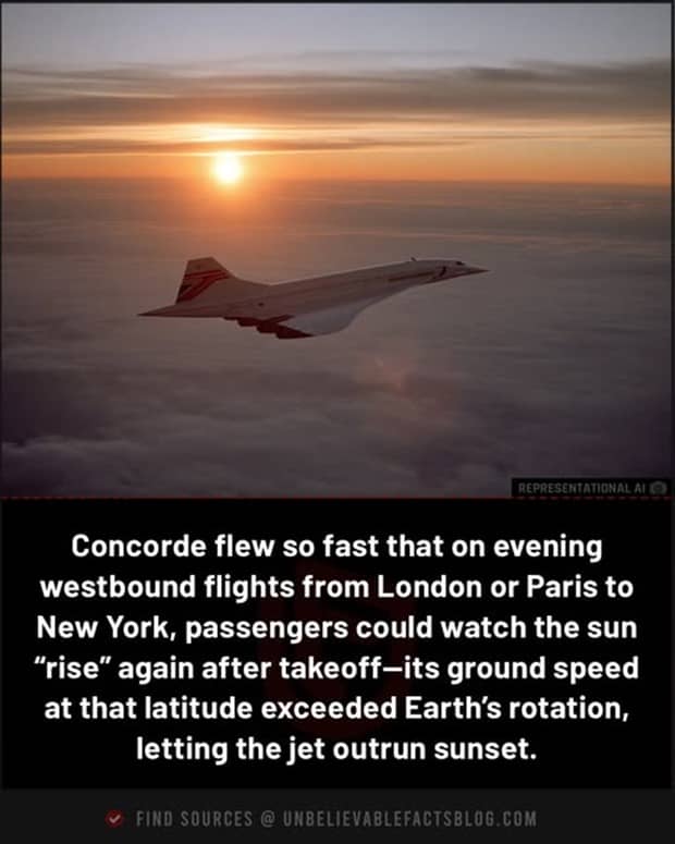 interesting facts and trivia 2 Cool and Interesting Facts #461 (21 photos)