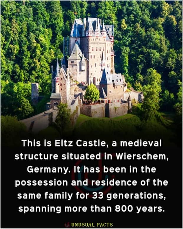 interesting facts and trivia 20 Cool and Interesting Facts #461 (21 photos)