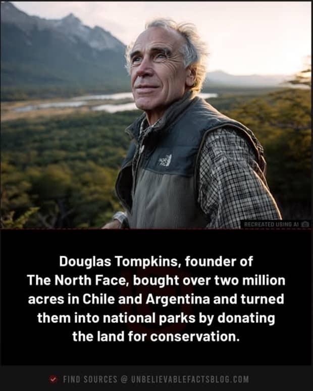 interesting facts and trivia 3 Cool and Interesting Facts #461 (21 photos)