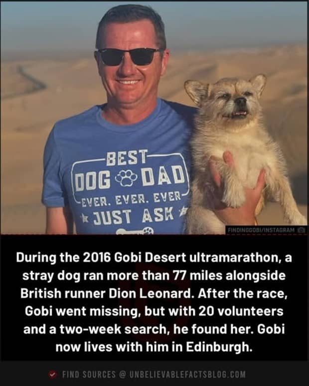 interesting facts and trivia 8 Cool and Interesting Facts #461 (21 photos)