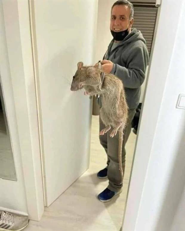 Klyker Picdump #1873 (43 photos)