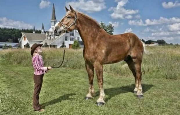 Klyker Picdump #1873 (43 photos)