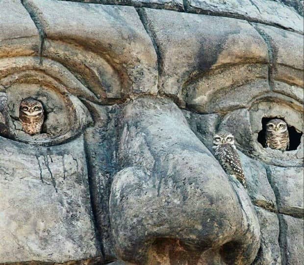 Klyker Picdump #1873 (43 photos)