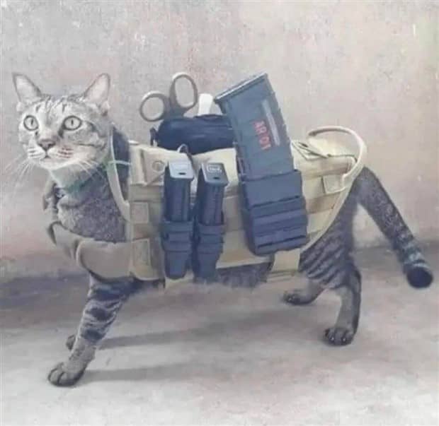 Klyker Picdump #1873 (43 photos)