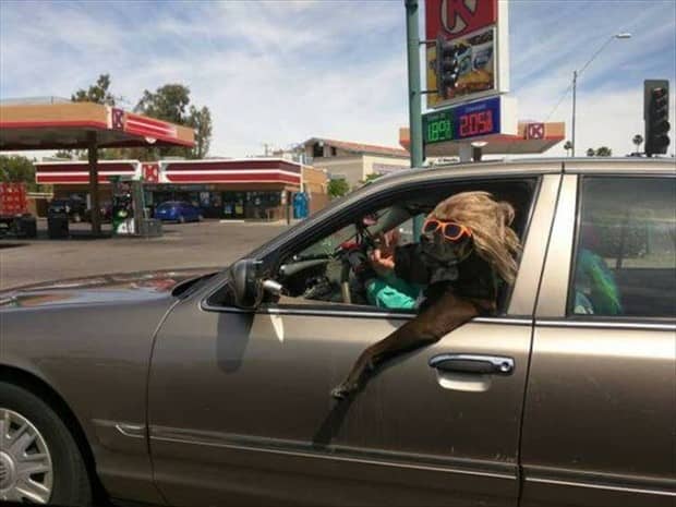 Klyker Picdump #1873 (43 photos)