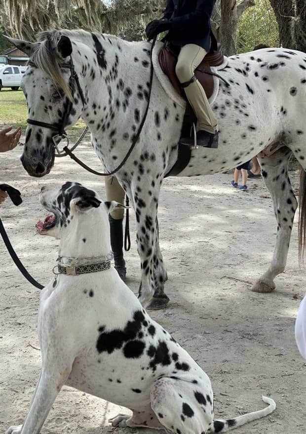 Klyker Picdump #1873 (43 photos)