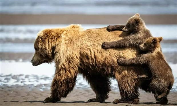 Klyker Picdump #1873 (43 photos)