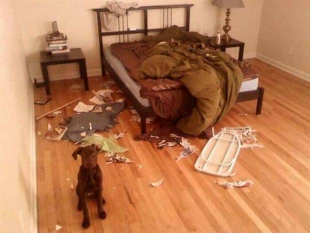 Klyker Picdump #1874 (44 photos)