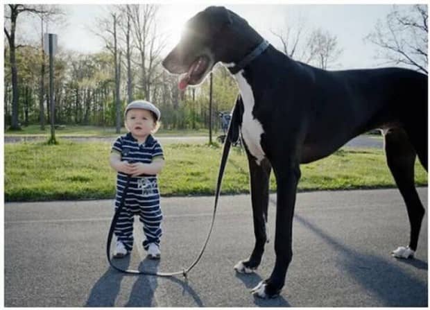 Klyker Picdump #1876 (41 photos)