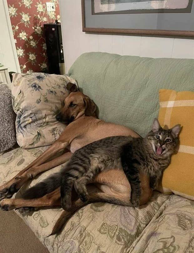 Klyker Picdump #1877 (42 photos)