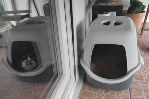 Klyker Picdump #1879 (44 photos)