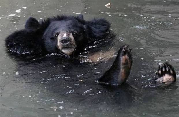 Klyker Picdump #1880 (45 photos)