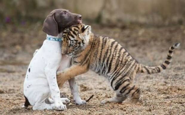 Klyker Picdump #1880 (45 photos)