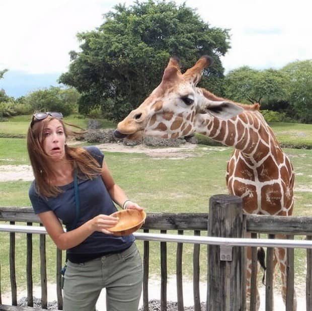 Klyker Picdump #1880 (45 photos)