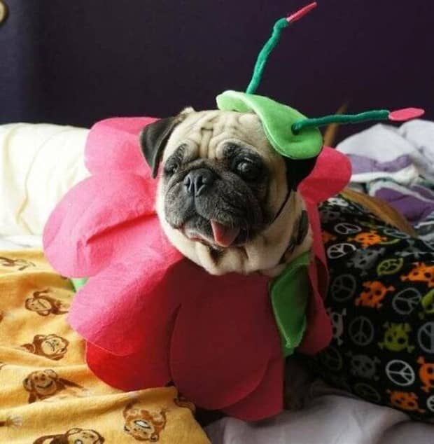 Klyker Picdump #1880 (45 photos)