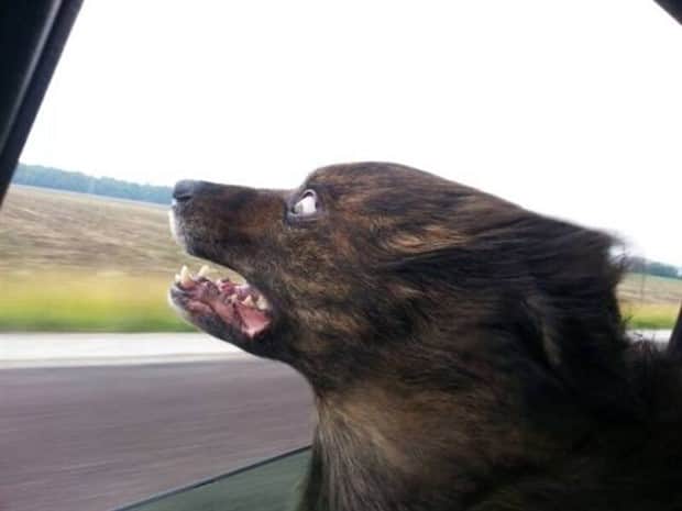 Klyker Picdump #1867 (42 photos)