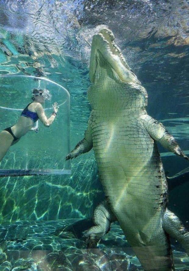 Klyker Picdump #1867 (42 photos)