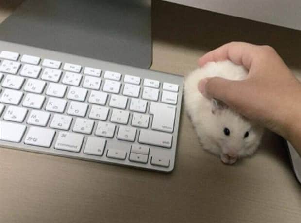 Klyker Picdump #1867 (42 photos)